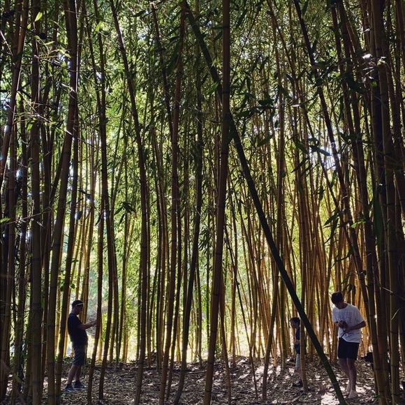 Meet your Posher, Jessica - Picture 5 of 6